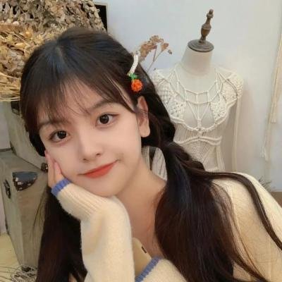 路易的第九条命